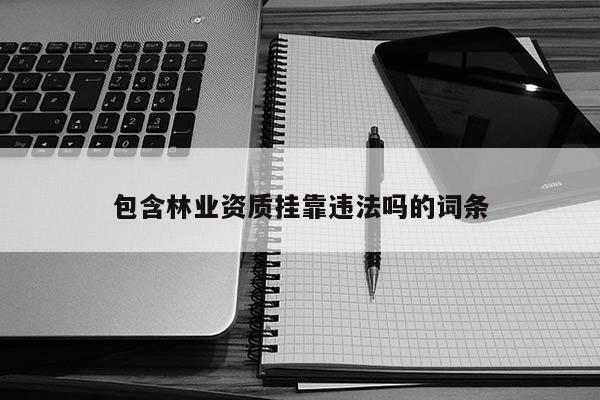包含林業資質掛靠違法嗎的詞條