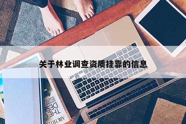 關于林業調查資質掛靠的信息