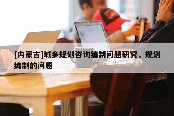 [內蒙古]城鄉規劃咨詢編制問題研究，規劃編制的問題