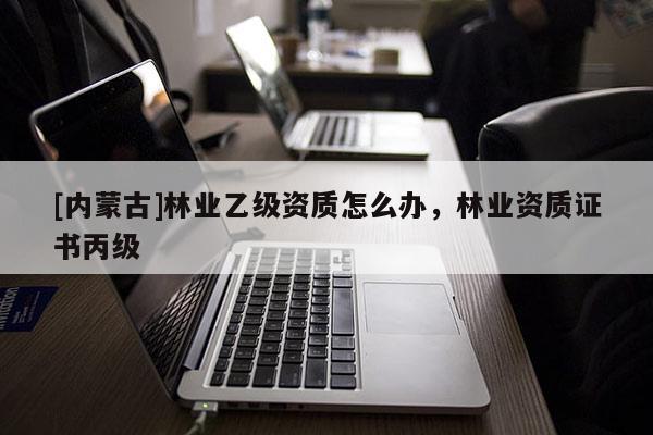 [內蒙古]林業乙級資質怎么辦，林業資質證書丙級