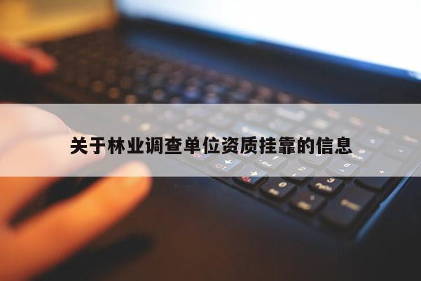 關于林業調查單位資質掛靠的信息