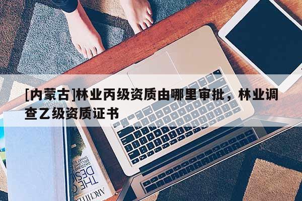 [內蒙古]林業丙級資質由哪里審批，林業調查乙級資質證書