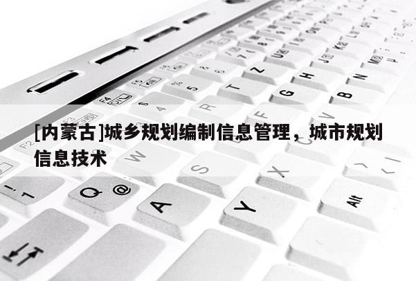 [內蒙古]城鄉規劃編制信息管理，城市規劃信息技術