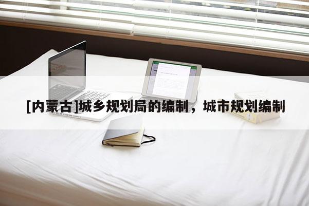 [內(nèi)蒙古]城鄉(xiāng)規(guī)劃局的編制，城市規(guī)劃編制