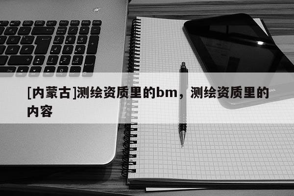 [內蒙古]測繪資質里的bm，測繪資質里的內容