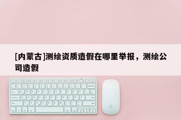 [內蒙古]測繪資質造假在哪里舉報，測繪公司造假