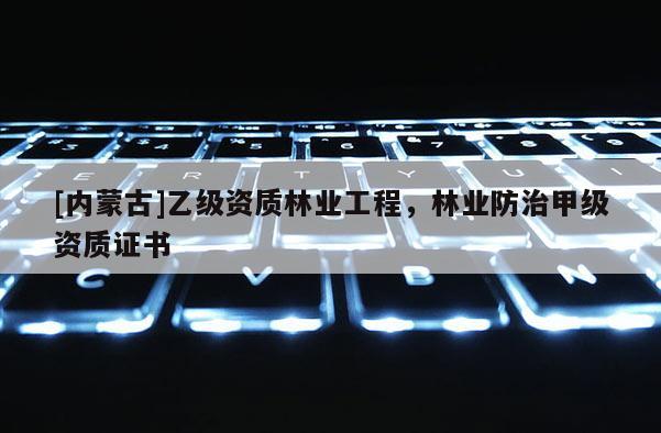 [內蒙古]乙級資質林業工程，林業防治甲級資質證書