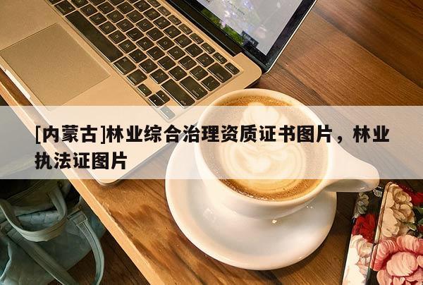 [內蒙古]林業綜合治理資質證書圖片，林業執法證圖片
