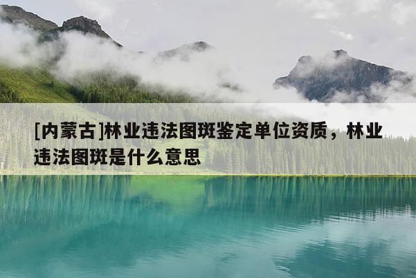 [內(nèi)蒙古]林業(yè)違法圖斑鑒定單位資質(zhì)，林業(yè)違法圖斑是什么意思