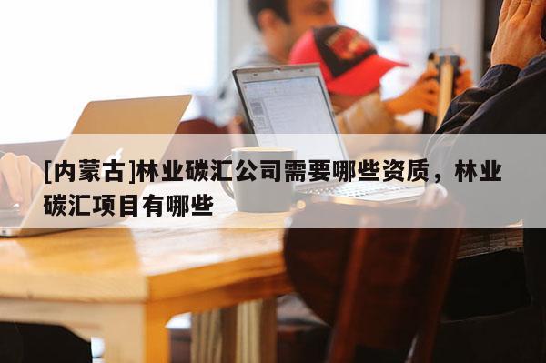 [內蒙古]林業碳匯公司需要哪些資質，林業碳匯項目有哪些