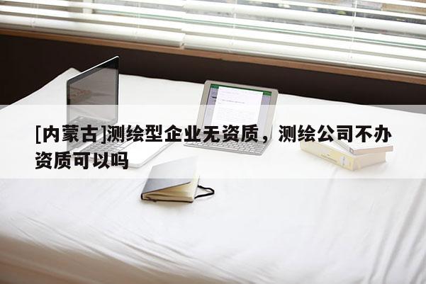 [內蒙古]測繪型企業無資質，測繪公司不辦資質可以嗎