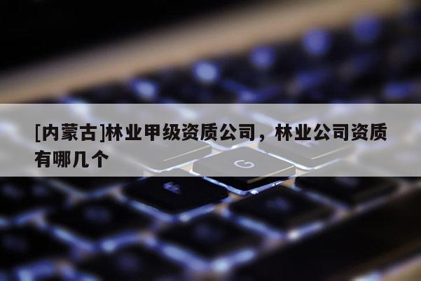 [內蒙古]林業甲級資質公司，林業公司資質有哪幾個