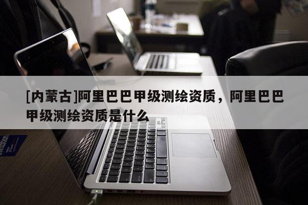 [內(nèi)蒙古]阿里巴巴甲級測繪資質(zhì)，阿里巴巴甲級測繪資質(zhì)是什么