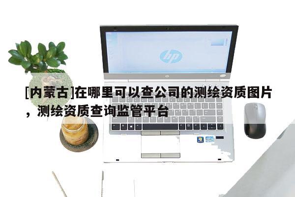 [內(nèi)蒙古]在哪里可以查公司的測(cè)繪資質(zhì)圖片，測(cè)繪資質(zhì)查詢(xún)監(jiān)管平臺(tái)