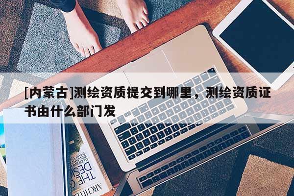 [內(nèi)蒙古]測(cè)繪資質(zhì)提交到哪里，測(cè)繪資質(zhì)證書(shū)由什么部門(mén)發(fā)