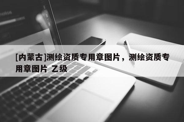 [內蒙古]測繪資質專用章圖片，測繪資質專用章圖片 乙級