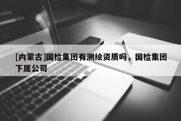 [內蒙古]國檢集團有測繪資質嗎，國檢集團下屬公司