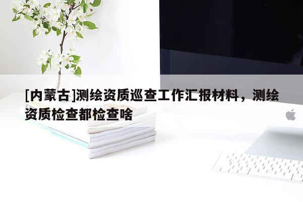 [內蒙古]測繪資質巡查工作匯報材料，測繪資質檢查都檢查啥