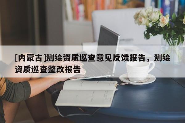 [內蒙古]測繪資質巡查意見反饋報告，測繪資質巡查整改報告