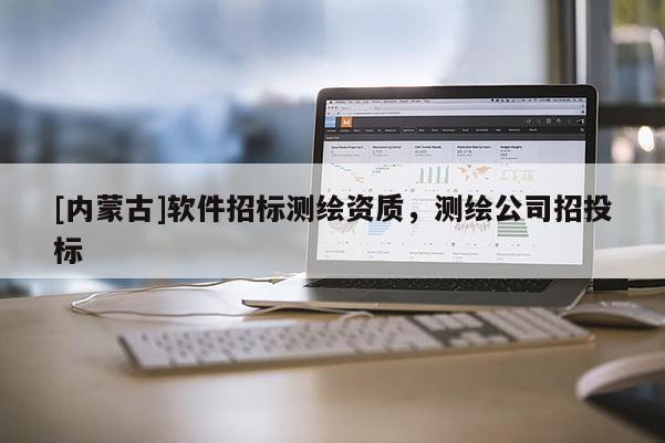 [內蒙古]軟件招標測繪資質，測繪公司招投標