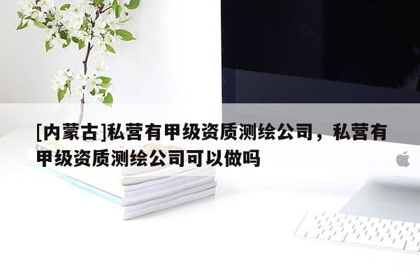 [內蒙古]私營有甲級資質測繪公司，私營有甲級資質測繪公司可以做嗎