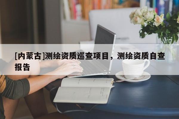 [內(nèi)蒙古]測繪資質(zhì)巡查項目，測繪資質(zhì)自查報告