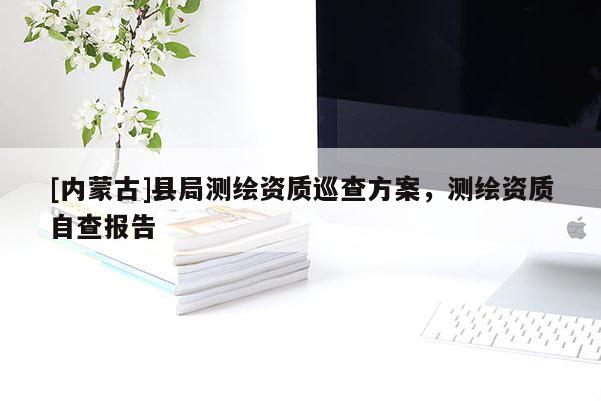 [內蒙古]縣局測繪資質巡查方案，測繪資質自查報告