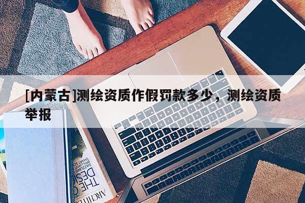 [內蒙古]測繪資質作假罰款多少，測繪資質舉報