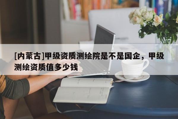 [內蒙古]甲級資質測繪院是不是國企，甲級測繪資質值多少錢