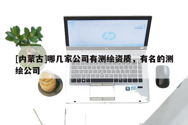 [內蒙古]哪幾家公司有測繪資質，有名的測繪公司
