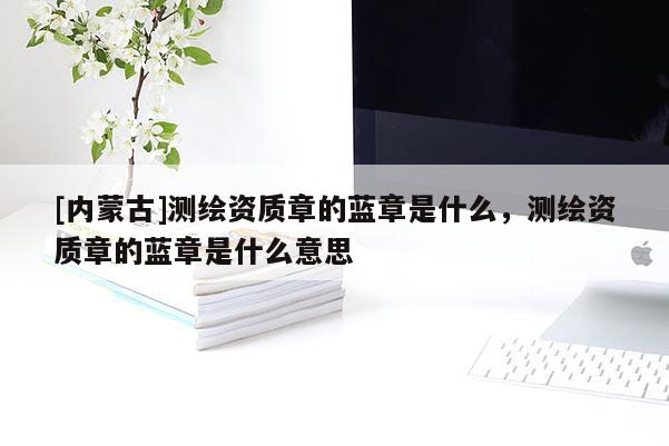 [內蒙古]測繪資質章的藍章是什么，測繪資質章的藍章是什么意思