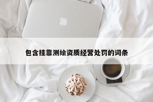 包含掛靠測繪資質(zhì)經(jīng)營處罰的詞條