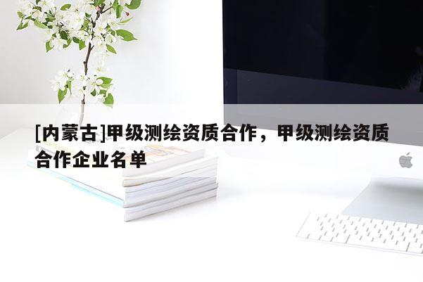 [內蒙古]甲級測繪資質合作，甲級測繪資質合作企業名單