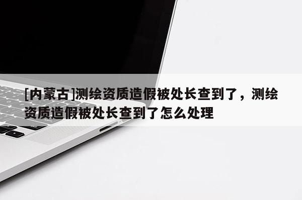 [內蒙古]測繪資質造假被處長查到了，測繪資質造假被處長查到了怎么處理