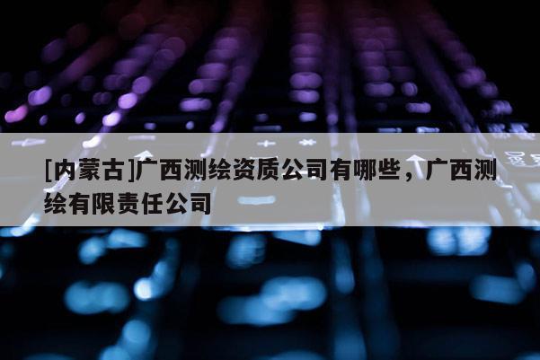 [內蒙古]廣西測繪資質公司有哪些，廣西測繪有限責任公司