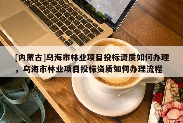 [內(nèi)蒙古]烏海市林業(yè)項目投標資質(zhì)如何辦理，烏海市林業(yè)項目投標資質(zhì)如何辦理流程